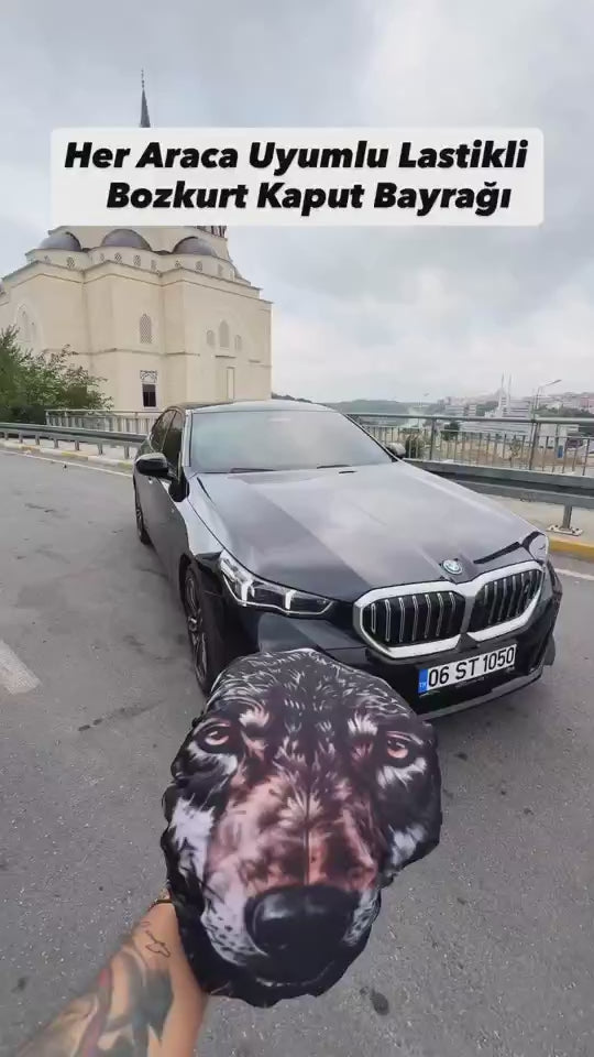 Bozkurt kaput bayrağı videosu 2