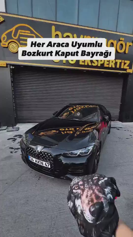 Bozkurt kaput bayrağı videosu 3