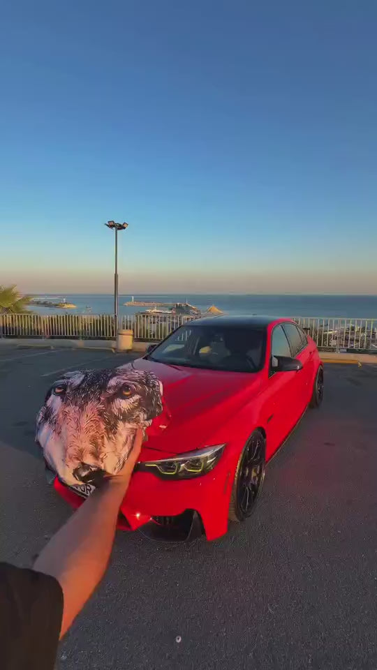 Bozkurt kaput bayrağı videosu